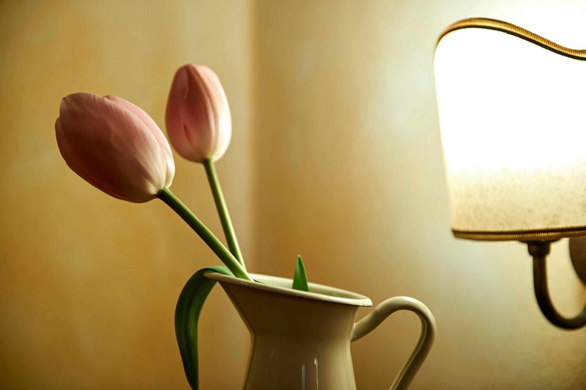 Agriturismo Il Casalino ปีเอนซา ภายนอก รูปภาพ