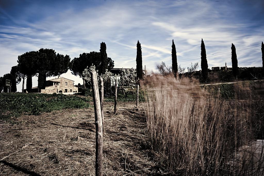 Agriturismo Il Casalino ปีเอนซา ภายนอก รูปภาพ