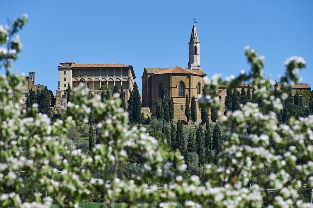 Agriturismo Il Casalino ปีเอนซา ภายนอก รูปภาพ