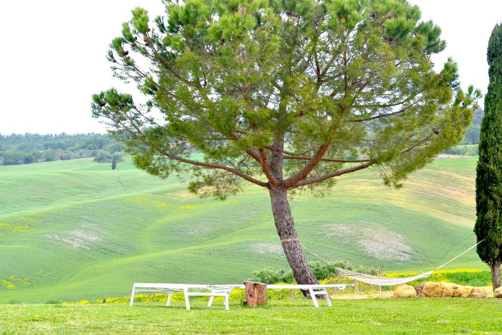 Agriturismo Il Casalino ปีเอนซา ภายนอก รูปภาพ